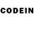 Псилоцибиновые грибы GOLDEN TEACHER 87 baish