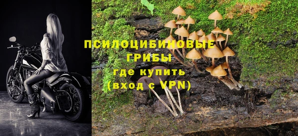 apvp Баксан
